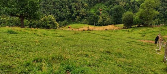  قطعة أرض في Laviana, Spain 8122متر مربع رقم 164456 10