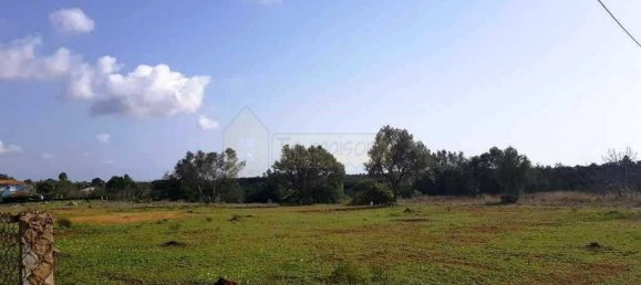 6467m² Land in Almancil, Portugal No. 146653 15