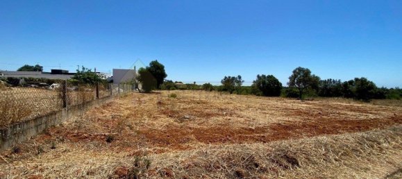 6467m² Land in Almancil, Portugal No. 146653 11