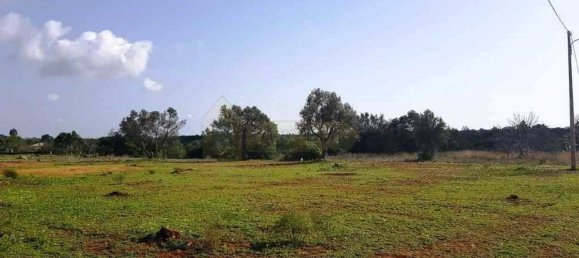 6467m² Land in Almancil, Portugal No. 146653 13