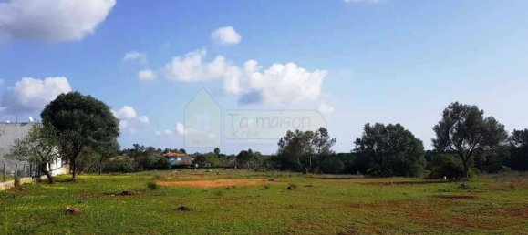 6467m² Land in Almancil, Portugal No. 146653 14