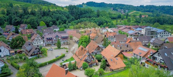 Café/restaurante en Ortenaukreis, Germany 593 m² No. 238909 3