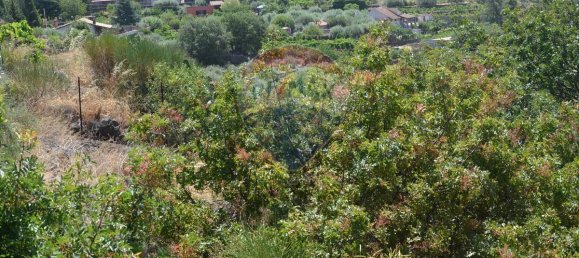 3 bedrooms House in Adrano, Italy No. 356397 30