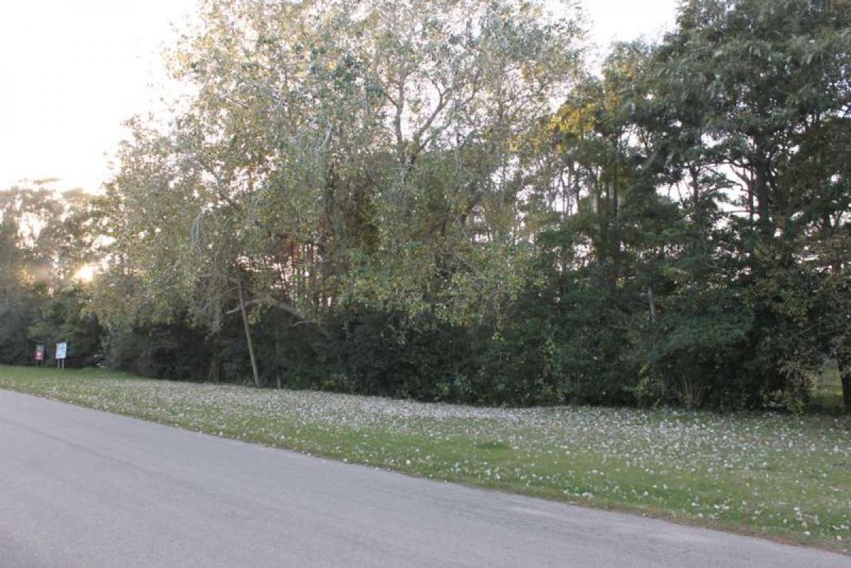  Land in Maldonado, Uruguay No. 15388