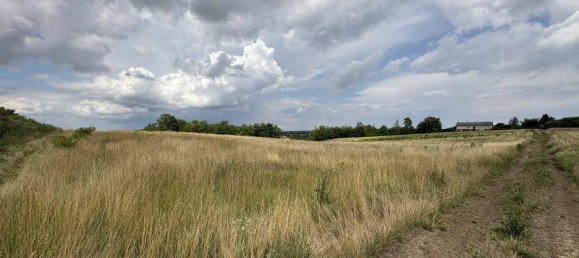  قطعة أرض في Ringelsdorf-Niederabsdorf, Austria رقم 136252 2