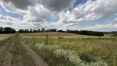  قطعة أرض في Ringelsdorf-Niederabsdorf, Austria رقم 136252