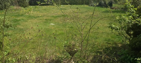 8 rooms House in Linz, Austria No. 54378 3