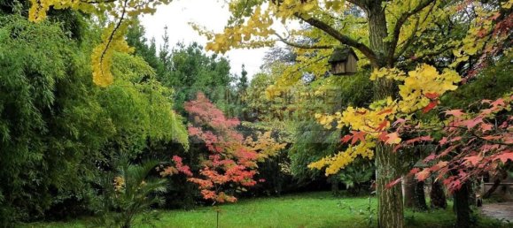 6 rooms House in Sarzana, Italy No. 139719 5