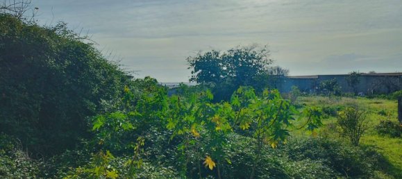 Terreno en Reggio Calabria, Italy 1532 m² No. 296494 3