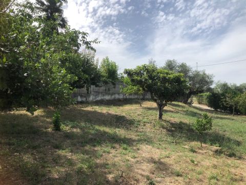 2 bedrooms House in Spoltore, Italy No. 180643