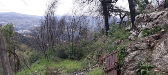 Земельный участок в Марку ди Канавезиш, Португалия № 59556 3