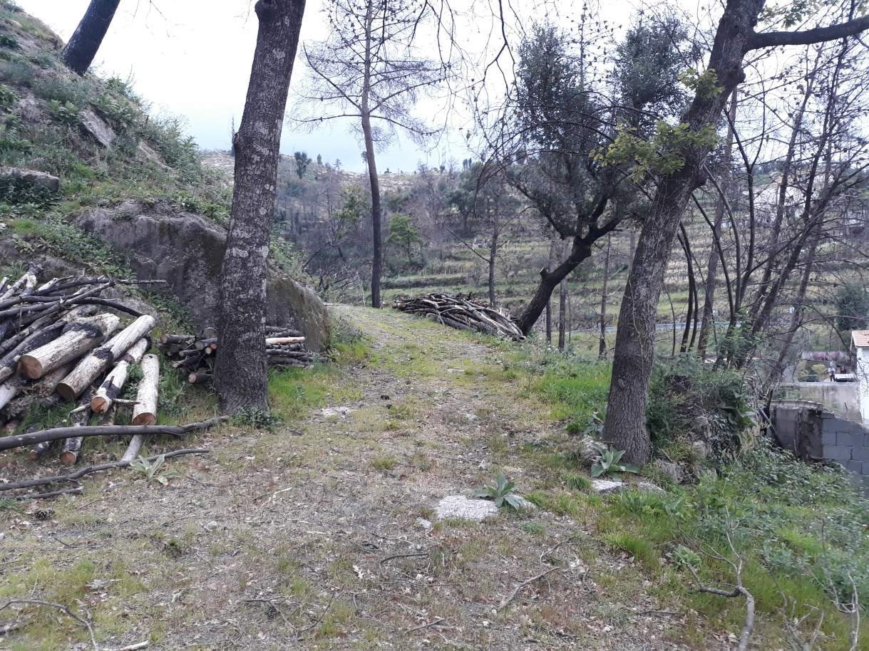 Земельный участок в Марку ди Канавезиш, Португалия № 59556