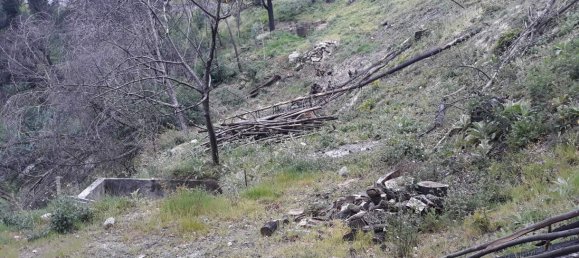 Земельный участок в Марку ди Канавезиш, Португалия № 59556 5