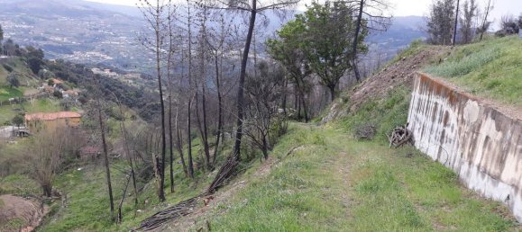 Земельный участок в Марку ди Канавезиш, Португалия № 59556 8