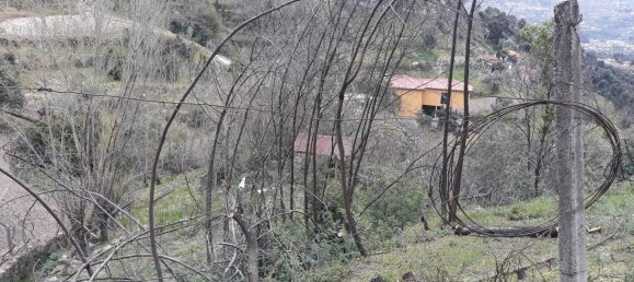 Земельный участок в Марку ди Канавезиш, Португалия № 59556 2