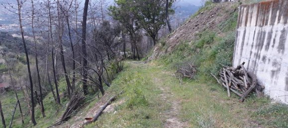 Земельный участок в Марку ди Канавезиш, Португалия № 59556 10