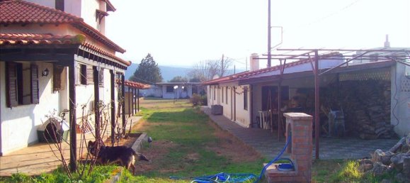 9 Schlafzimmer Villa in Chalkidiki, Greece, Nr. 1229 10