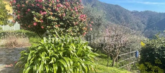 4 غرف نوم فيلا في Montignoso, Italy رقم 149847 12