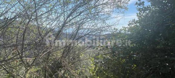 4 غرف نوم فيلا في Montignoso, Italy رقم 149847 9