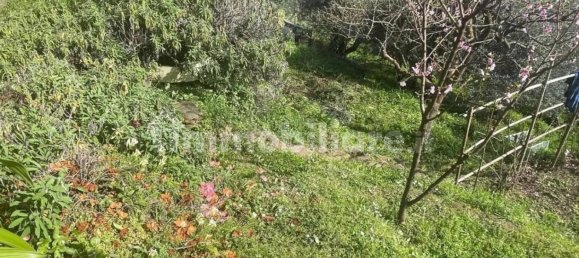 4 غرف نوم فيلا في Montignoso, Italy رقم 149847 10