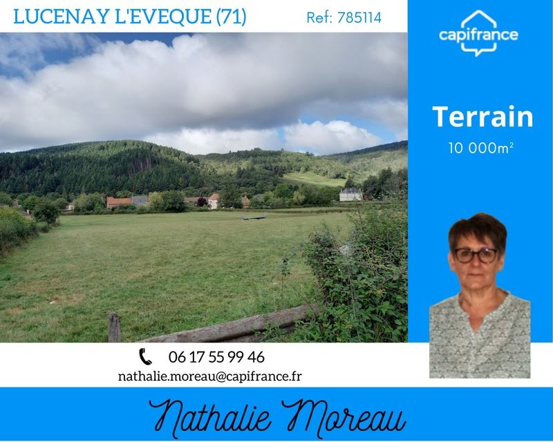 Terreno en Lucenay-l'Eveque, France 10000 m² No. 50771