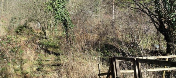 3011m² Land in Liesing, Austria No. 62032 6