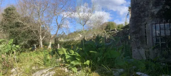 Casa T3 em Viana do Castelo, Portugal N.º 52123 13