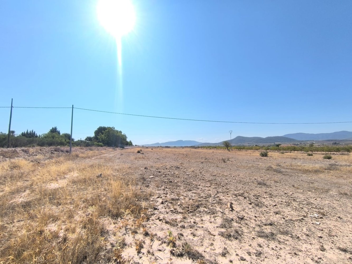  Land in Pinoso, Spain No. 138450