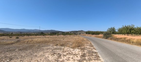 Land in Pinoso, Spain No. 138450 3
