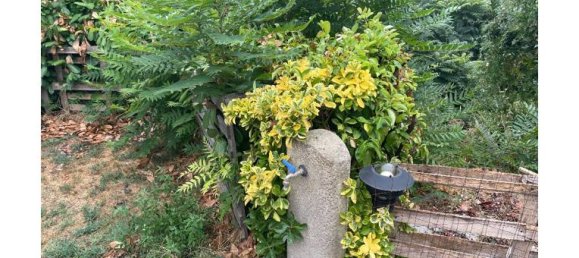 1 bedroom House in Rocca d'Arazzo, Italy No. 373710 3