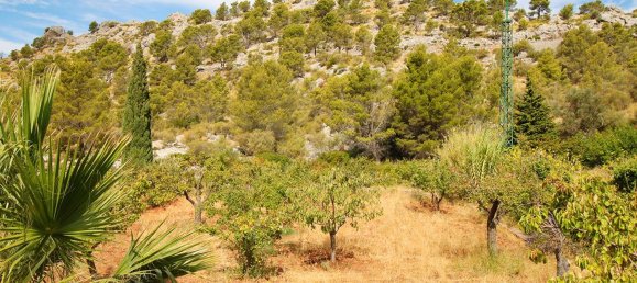 4 bedrooms House in Fornalutx, Spain No. 84103 23