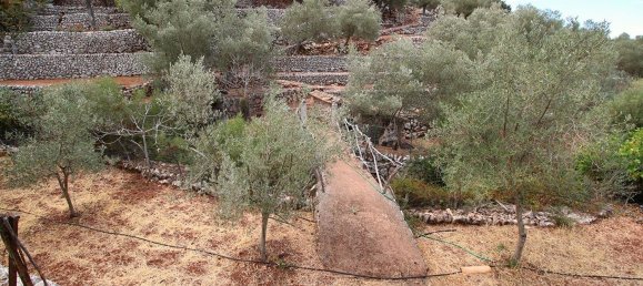 4 bedrooms House in Fornalutx, Spain No. 84103 27