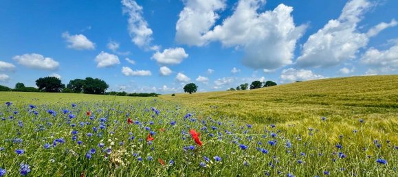 5 غرف نوم منزل في Ostholstein, Germany رقم 80514 15