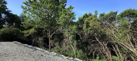 Casa de 4 habitaciónes en Grosspetersdorf, Austria No. 176375 10