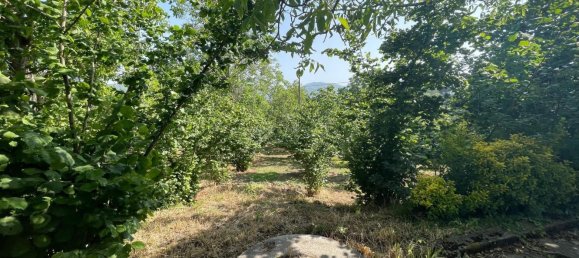 4 bedrooms Apartment in Avellino, Italy No. 373529 15