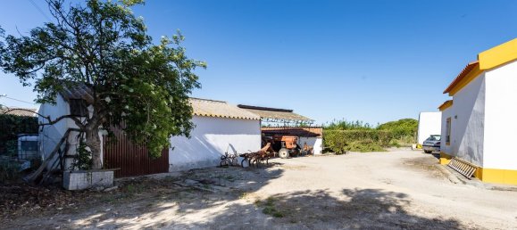 5 bedrooms House in Montijo, Portugal No. 145335 4