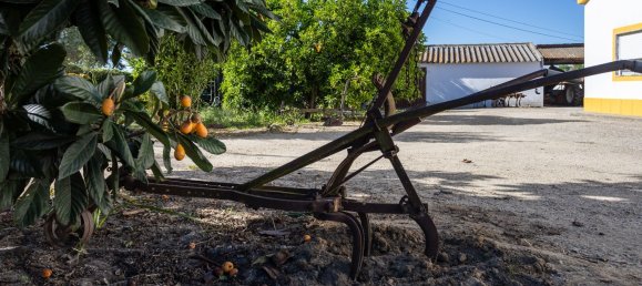 5 bedrooms House in Montijo, Portugal No. 145335 9