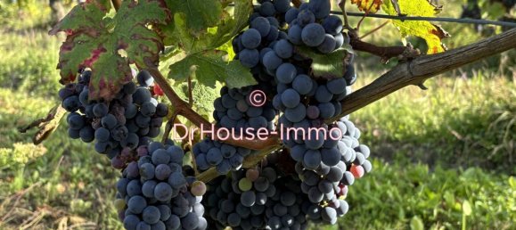 Casa T6 em Cravant-les-Coteaux, France N.º 48961 10