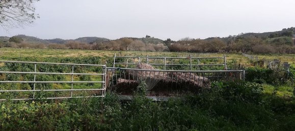 Casa T10 em Silves, Portugal N.º 65685 11