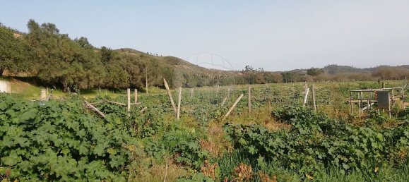 Casa T10 em Silves, Portugal N.º 65685 21