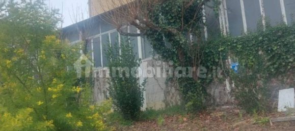 4 Schlafzimmer Haus in Mogliano, Italy, Nr. 102896 4