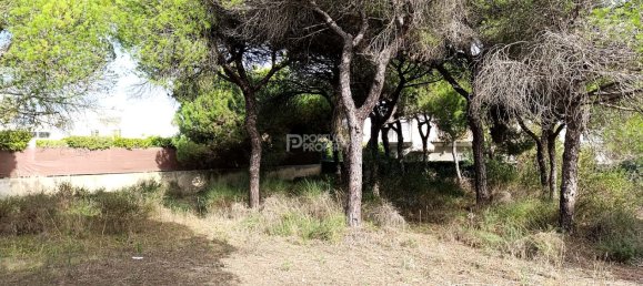 384m² Land in Almancil, Portugal No. 126677 7