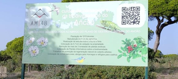 384m² Land in Almancil, Portugal No. 126677 13