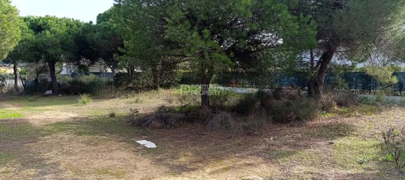 384m² Land in Almancil, Portugal No. 126677 4