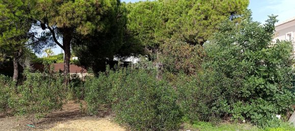 384m² Land in Almancil, Portugal No. 126677 5