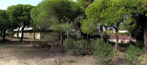 384m² Land in Almancil, Portugal No. 126677 2