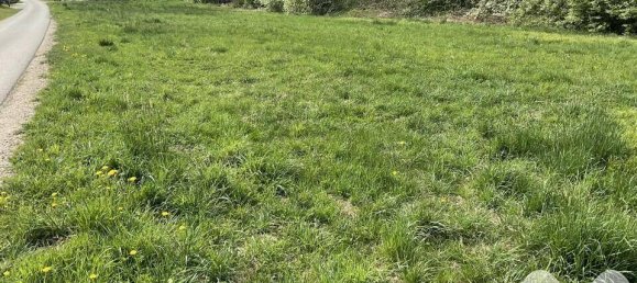 Земельный участок в Прединг, Австрия № 167164 5