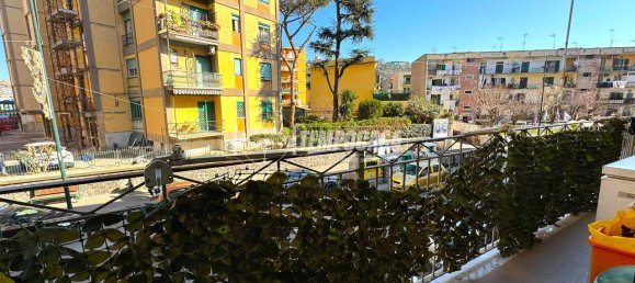 2 rooms Apartment in Naples, Italy No. 75486 14