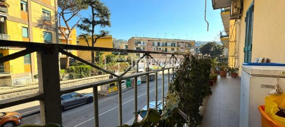 2 rooms Apartment in Naples, Italy No. 75486 11