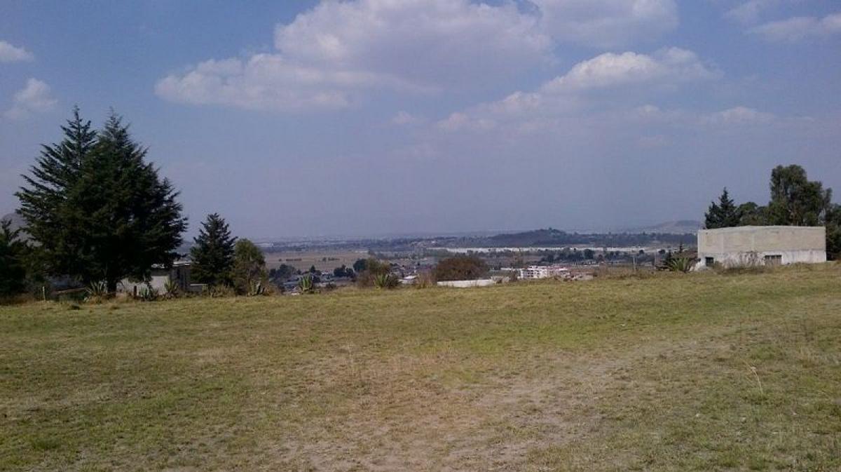  Land in Almoloya de Juarez, Mexico No. 207132